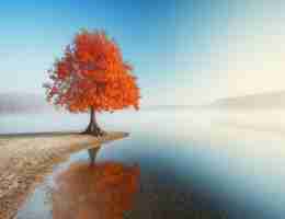 专﻿业‌人​员‍招﻿聘‌网‍站﻿